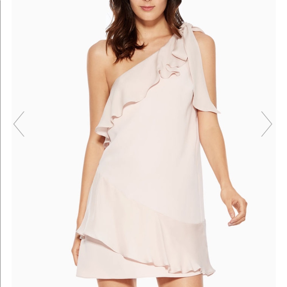 Parker Blush pink Dress (off the shoulder)